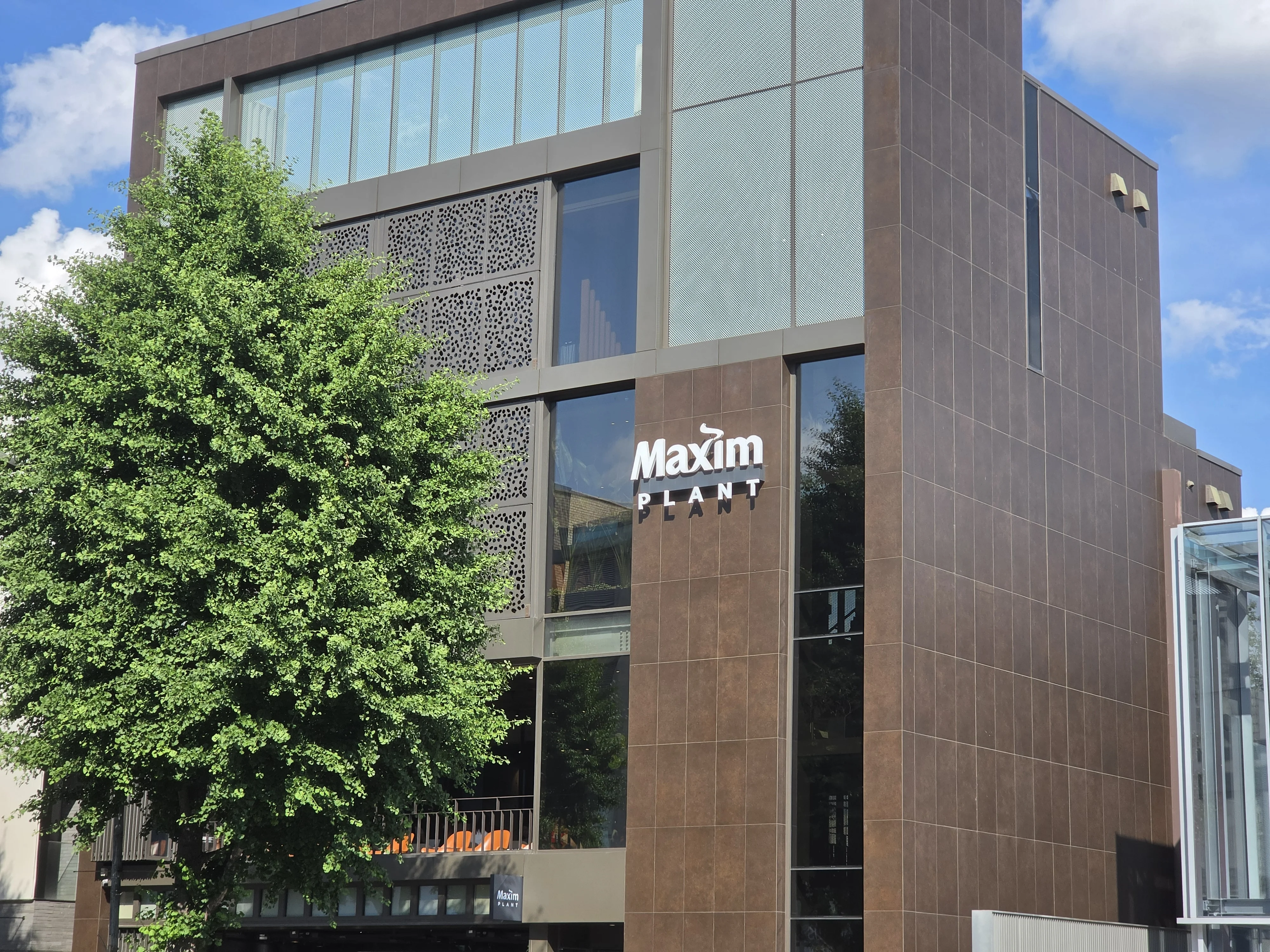 Maxim Plant