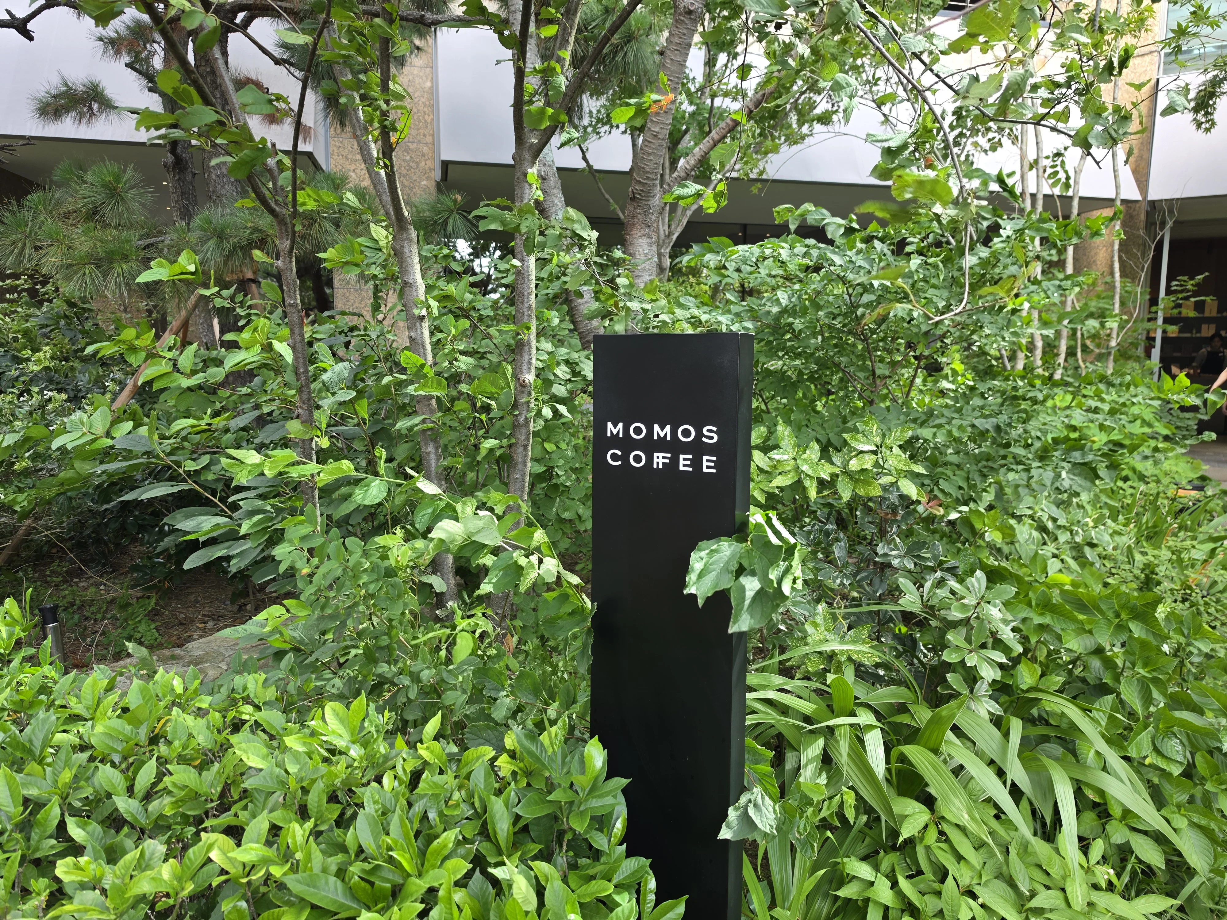 모모스커피 마린시티점 2