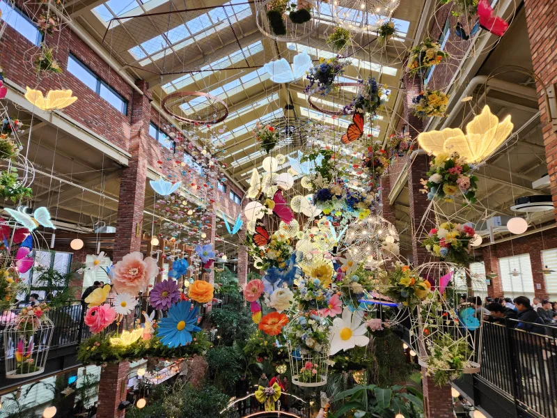 포레스트 아웃팅스 2